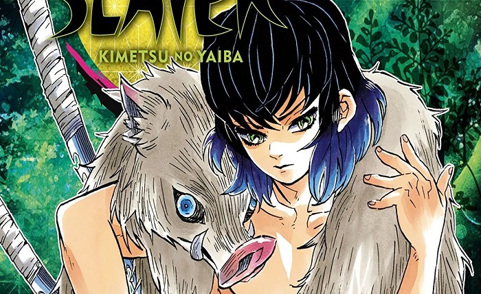demon slayer kimetsu no yaiba manga